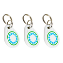 EVBox RFID-Chips [3 Stück]